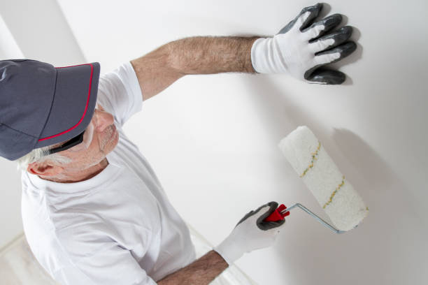 Reliable Forest Hill, TX Mold Removal Solutions