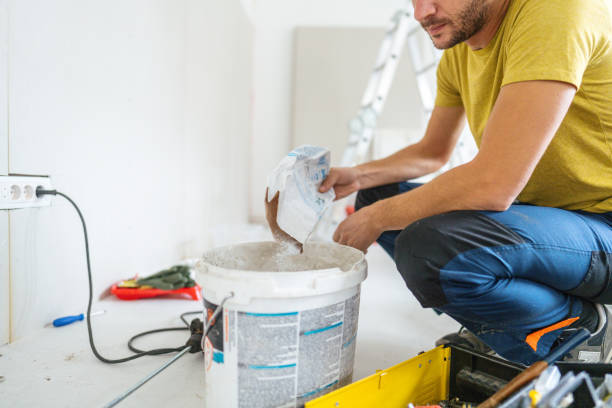 Best Black Mold Removal  in Forest Hill, TX
